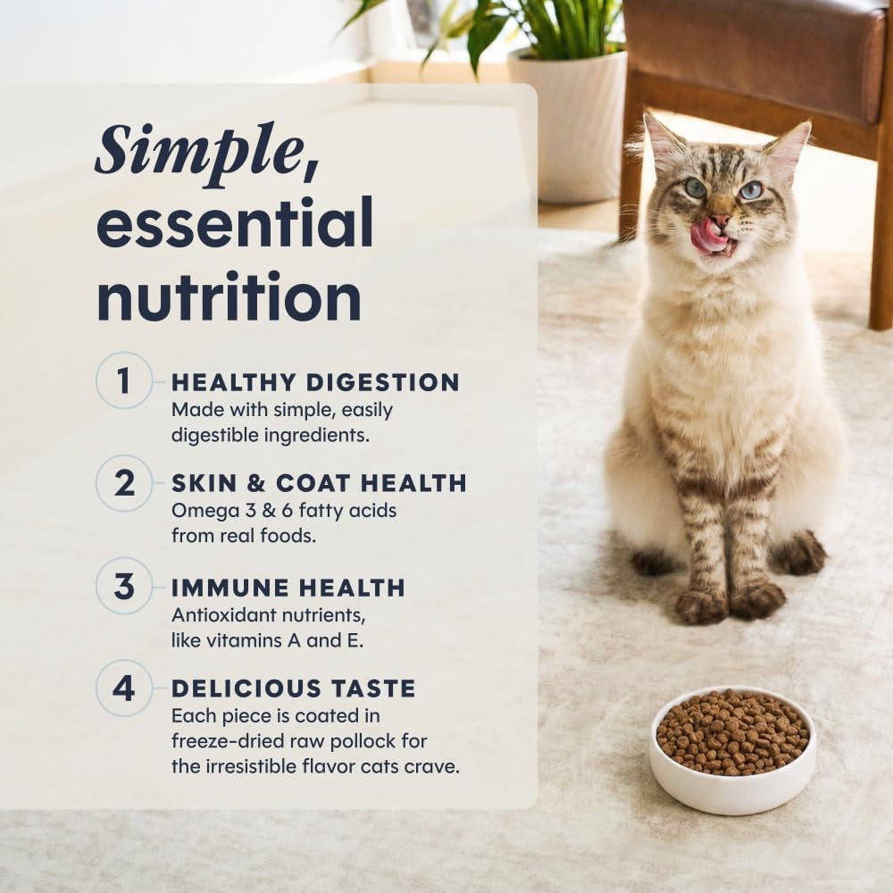 Limited Ingredient Diet Dry Cat Food, Real Salmon, 4.5 Lb. Bag