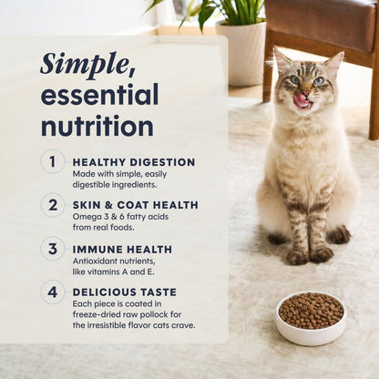 Limited Ingredient Diet Dry Cat Food, Real Salmon, 4.5 Lb. Bag