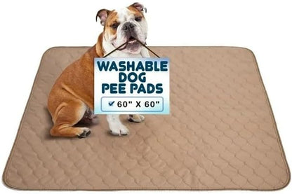 Reusable Dog Pee Pads, Washable Waterproof Mat 60X60 In, 1-Pack