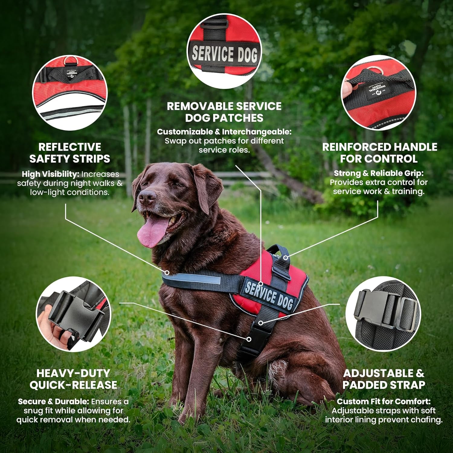 Service Dog Vest with Hook and Loop Straps & Matching Leash Set - Harnesses from XXS to XXL - Service Dog Harness Features Reflective Patch and Comfortable Mesh Design (Pink, XXS)