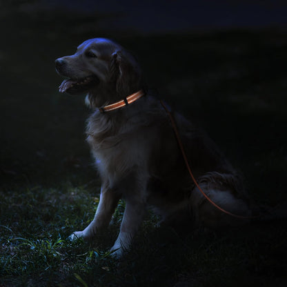 Reflective Dog Collar, Quick-Release Buckle (Black, 7-11 Inch (New)) | Reflective Nylon, Swim-Safe, Quick-Release Buckle, for Small to Large Dogs & Puppies