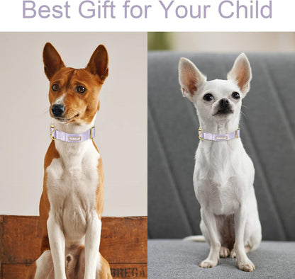 Nylon Dog Collar - Adjustable Lavender Soft Webbing Dog Collars for Small Medium Large Dogs Boy Girl Puppy Collar with Safety Metal Buckle S