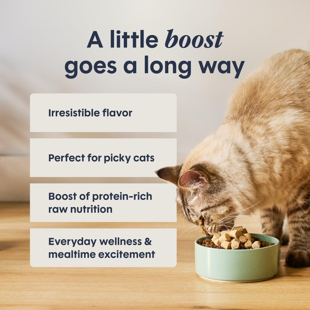 Raw Boost Mixers Freeze Dried Raw Cat Food Topper, Grain Free Cat Food Topper 6 Ounce (Pack of 1)