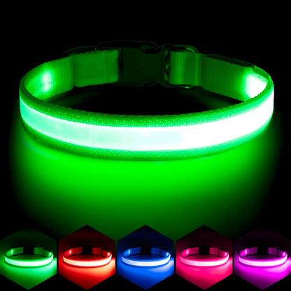 LED Dog Collar, Light up Dog Collar Adjustable Safety Glowing Collar