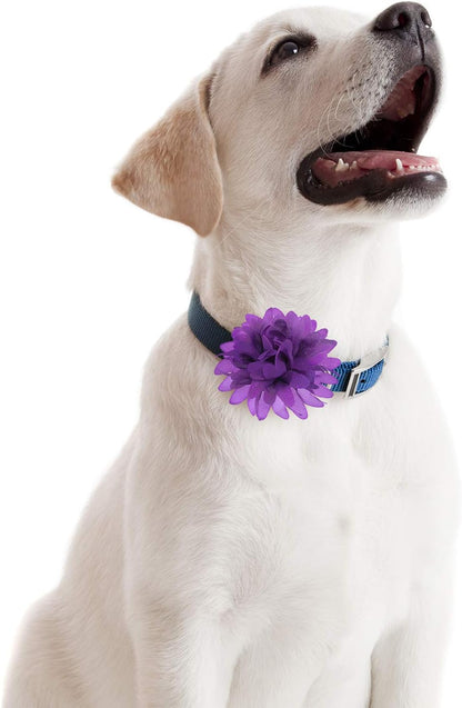 20 Pcs 4 Inch Dog Collar Flowers Bow, Multicolored