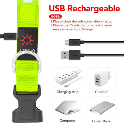 LED Dog Collar, Light up Dog Collar Adjustable Safety Glowing Collar