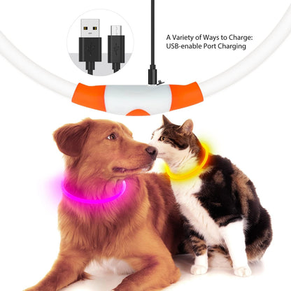 LED Dog Collar, USB Rechargeable Glow Lighted up Collar, Orange