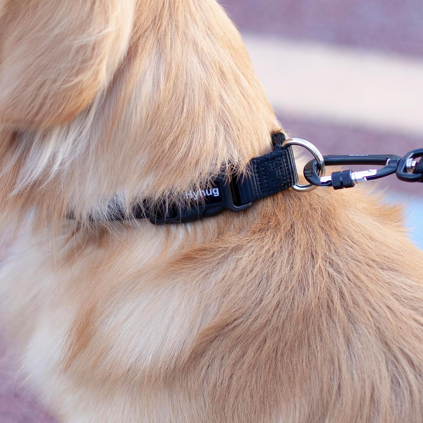 Black Dog Collar for Medium Dogs, Quick-Release Buckle, Adjustable