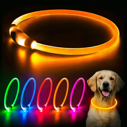LED Dog Collar, USB Rechargeable Glow Lighted up Collar, Orange