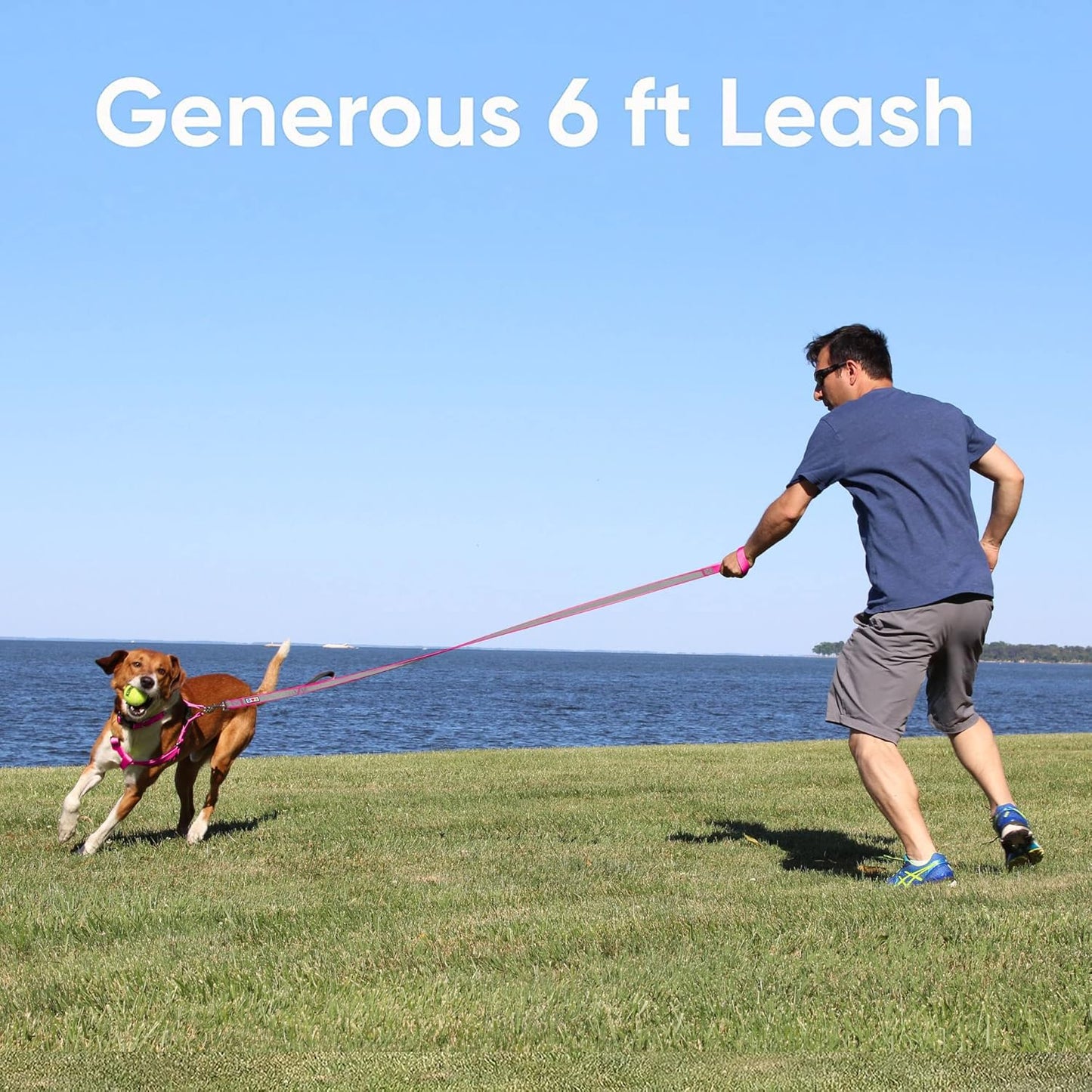Black Dog Leash 6 Ft Custom ID Lead for Dogs & Puppies Reflective Comfortable Padded Handle Embroidered Name & Phone Number
