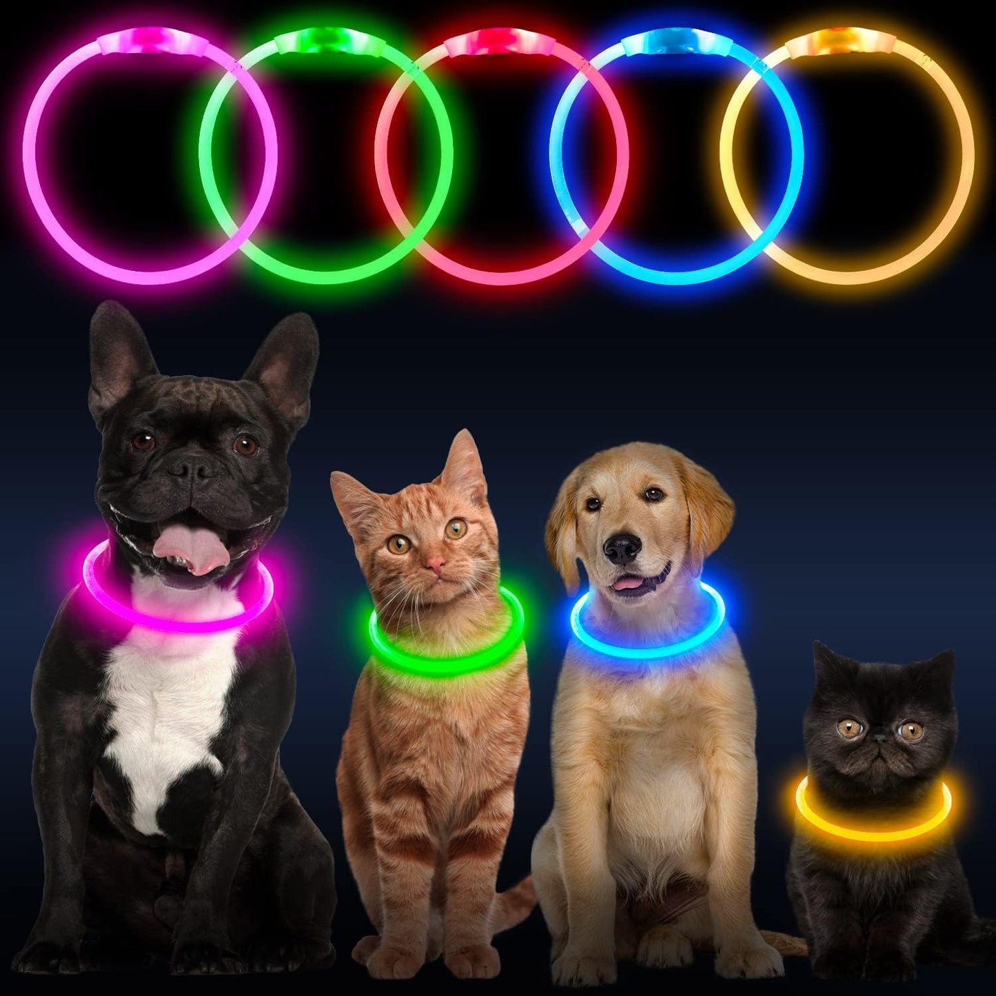 LED Dog Collar, USB Rechargeable Glow Lighted up Collar, Orange