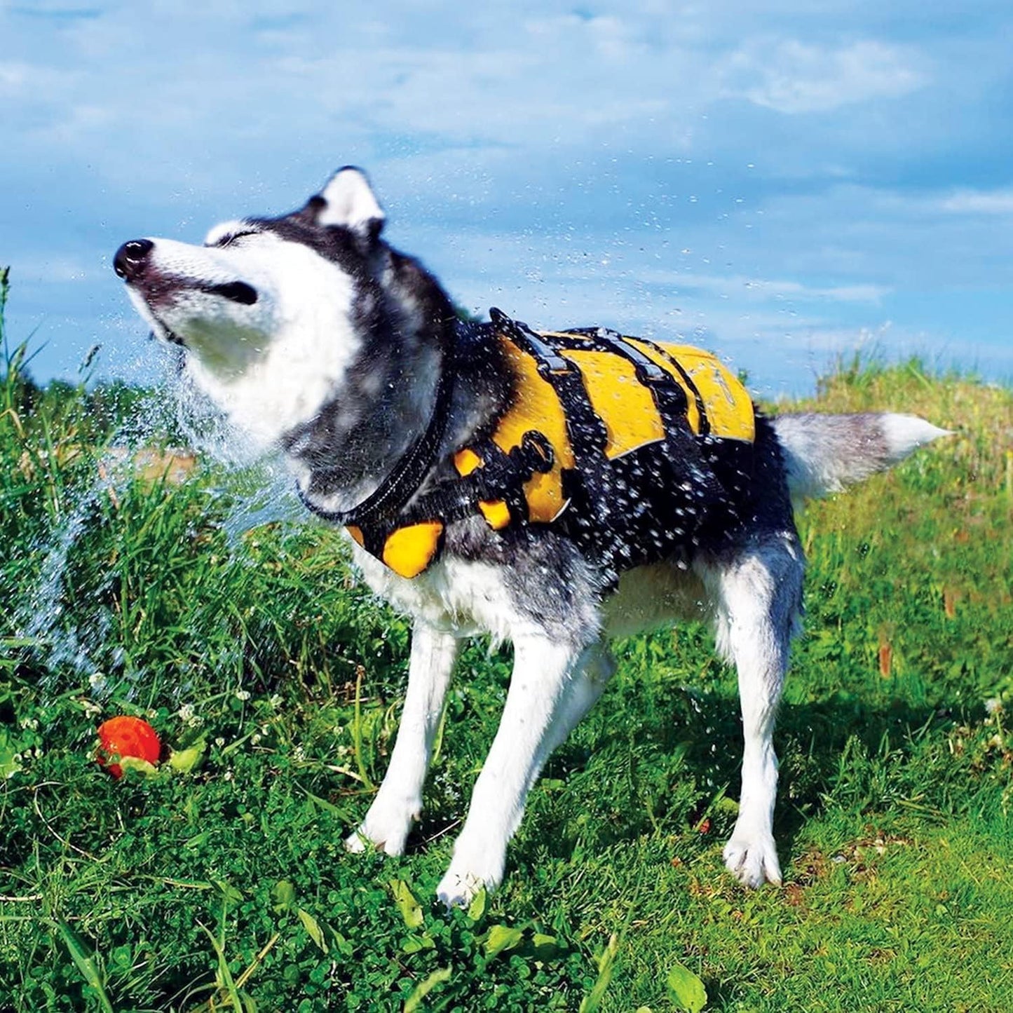 DFD Dog Life Jacket, Dog Life Vest for Swimming - X-Small, Red