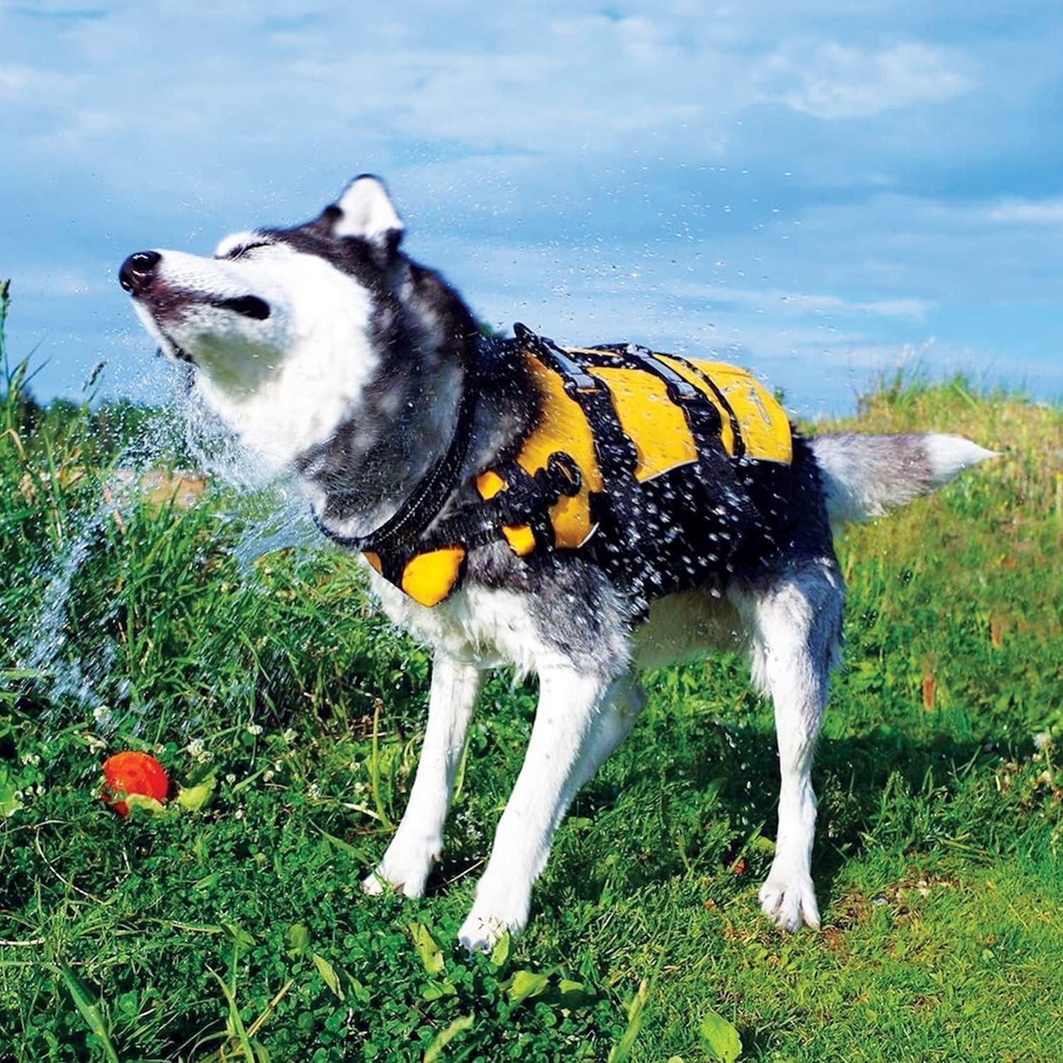 DFD Dog Life Jacket, Dog Life Vest for Swimming - X-Small, Red
