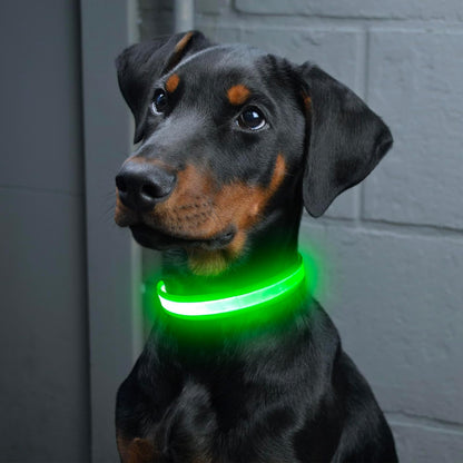 LED Dog Collar, Light up Dog Collar Adjustable Safety Glowing Collar